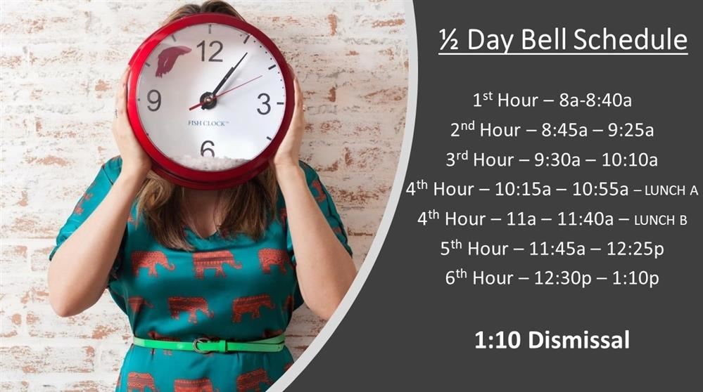 Half Day Schedule Hour by Hour
